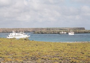 Los islas Galapagos en Ecuador un destino para aprender con Darwin. Foto de javierdoren.